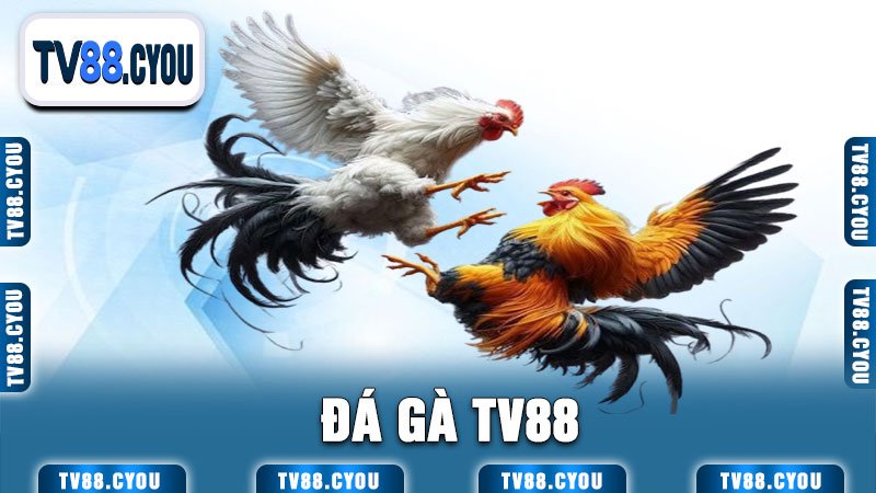 Đá Gà TV88